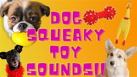 dog squeaky toy noise